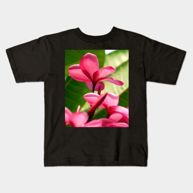 flowers-dress-lei-frangipani-floral-red-petals-shirtyshirto-45 Kids T-Shirt by Shirty.Shirto